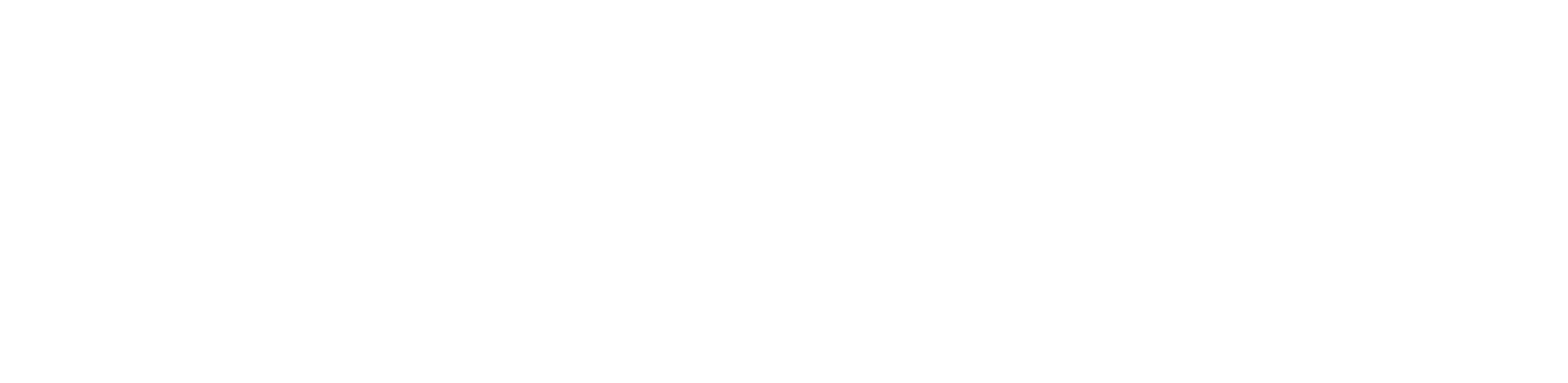 Digital Strategy
