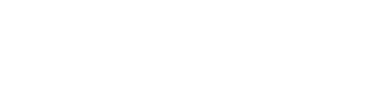 SEO Agency